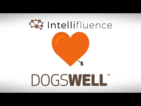 BRANDS WE LOVE: DOGSWELL