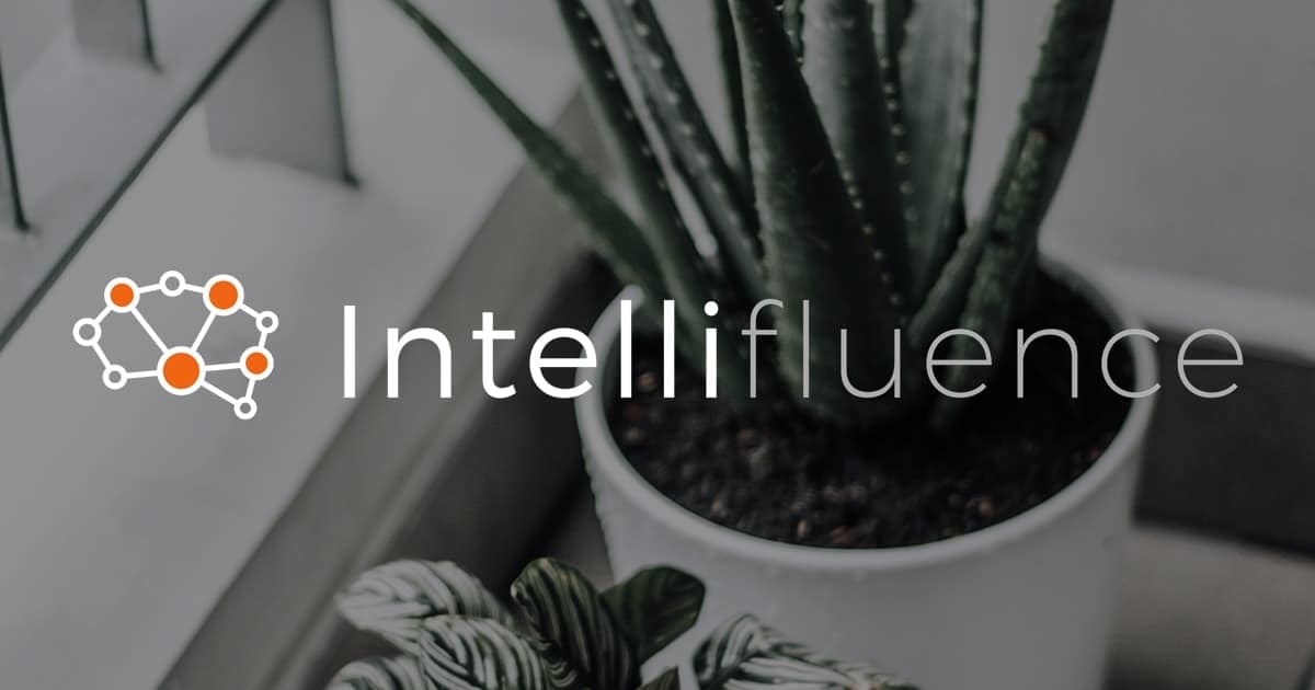 Home & Garden Influencers Intellifluence